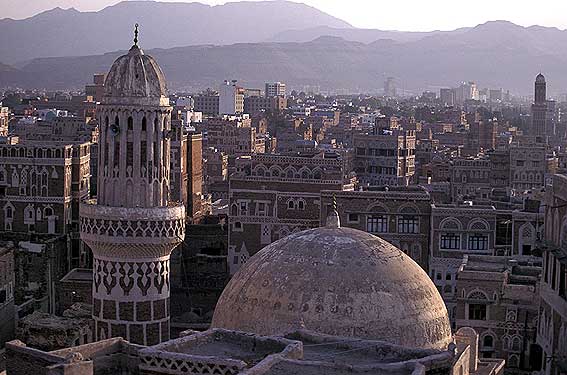 sanaa5.jpg