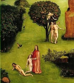 bosch-judgment.jpg