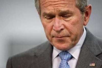 bush.jpg