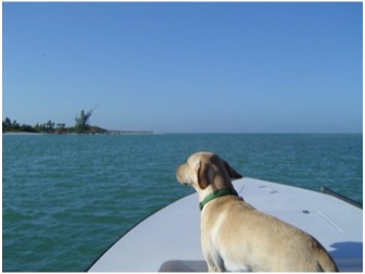gone-fishin.jpg